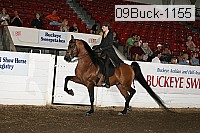09buck-1155 proof