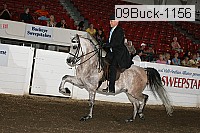 09buck-1156 proof
