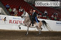 09buck-1160 proof