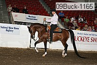 09buck-1165 proof