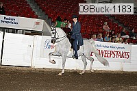 09buck-1183 proof