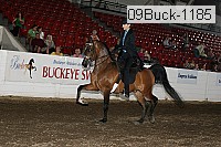 09buck-1185 proof