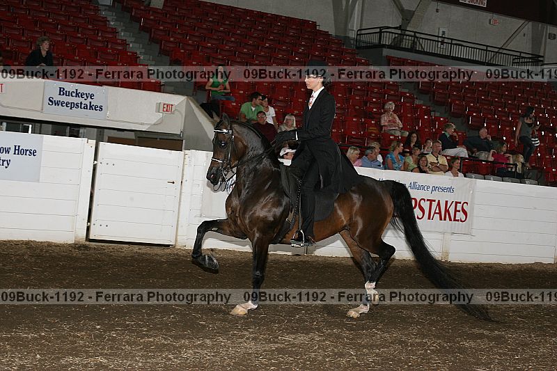 Proof 09buck-1192