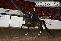 09buck-1192 proof