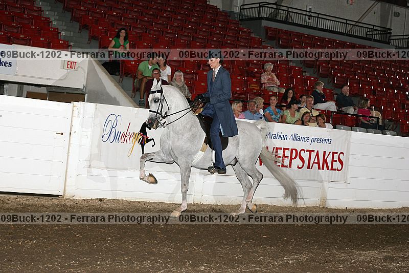 Proof 09buck-1202