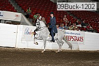 09buck-1202 proof