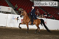 09buck-1204 proof