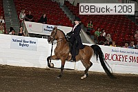 09buck-1208 proof