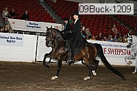 09buck-1209 proof