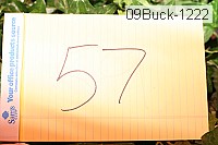 09buck-1222 proof