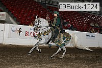 09buck-1224 proof