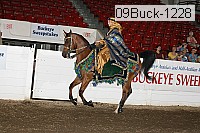 09buck-1228 proof