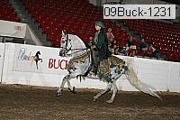 09buck-1231 proof