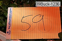 09buck-1236 proof