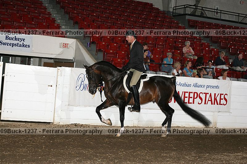Proof 09buck-1237