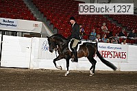 09buck-1237 proof