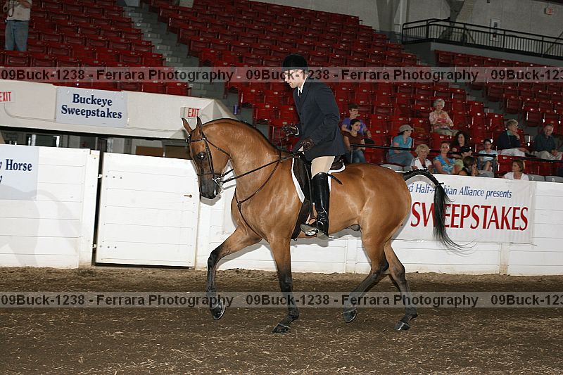 Proof 09buck-1238