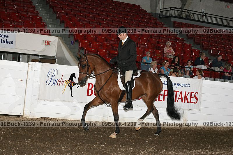 Proof 09buck-1239