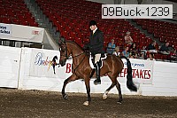 09buck-1239 proof