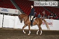 09buck-1240 proof