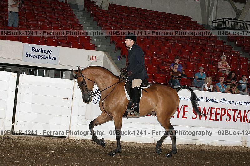 Proof 09buck-1241