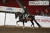 09buck-1242 proof
