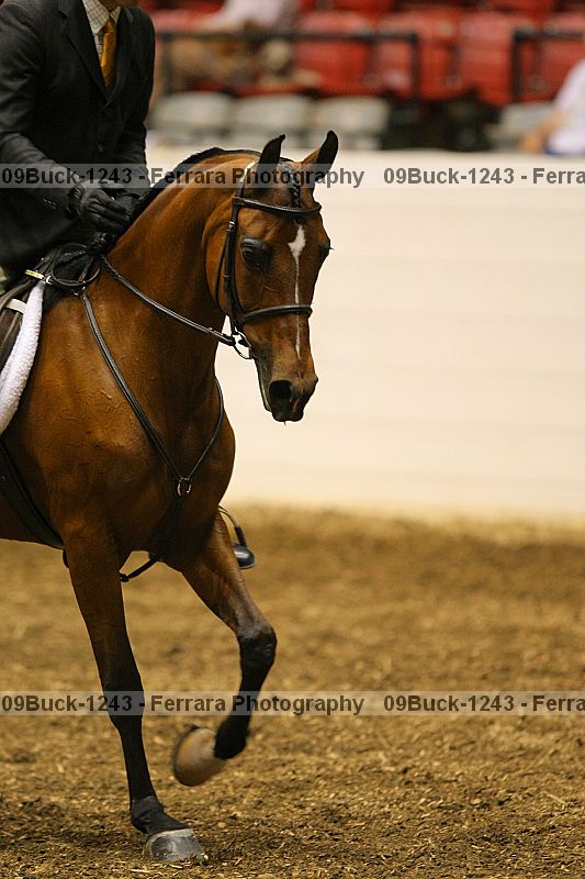 Proof 09buck-1243