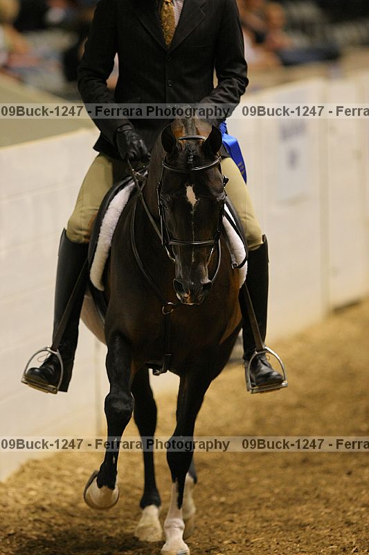 Proof 09buck-1247