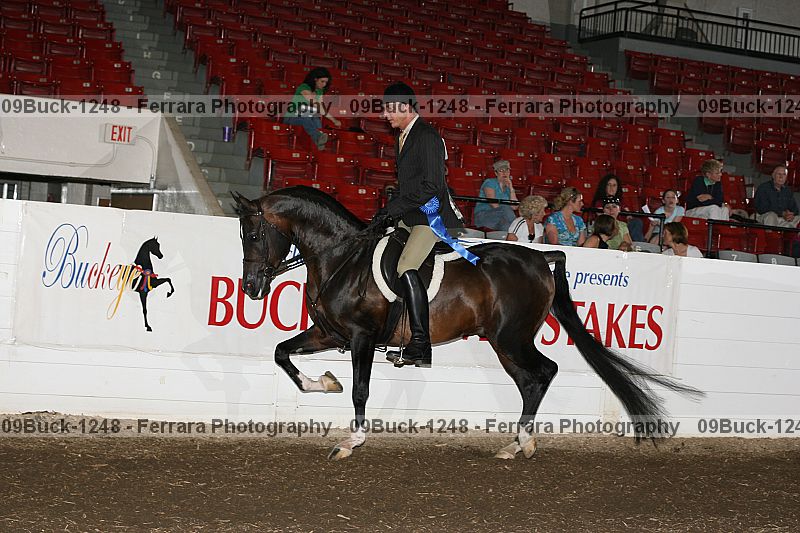 Proof 09buck-1248