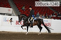 09buck-1248 proof