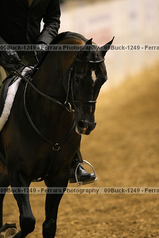 Proof 09buck-1249