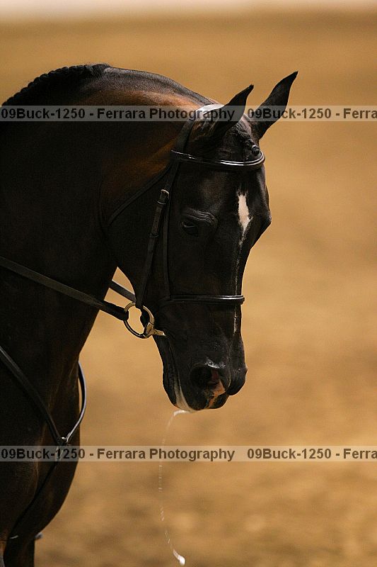 Proof 09buck-1250