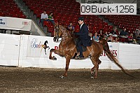 09buck-1256 proof
