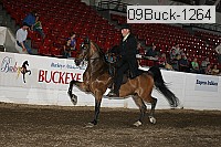 09buck-1264 proof