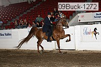 09buck-1272 proof
