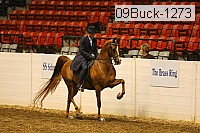 09buck-1273 proof