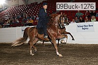 09buck-1276 proof