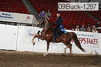 09buck-1287 proof
