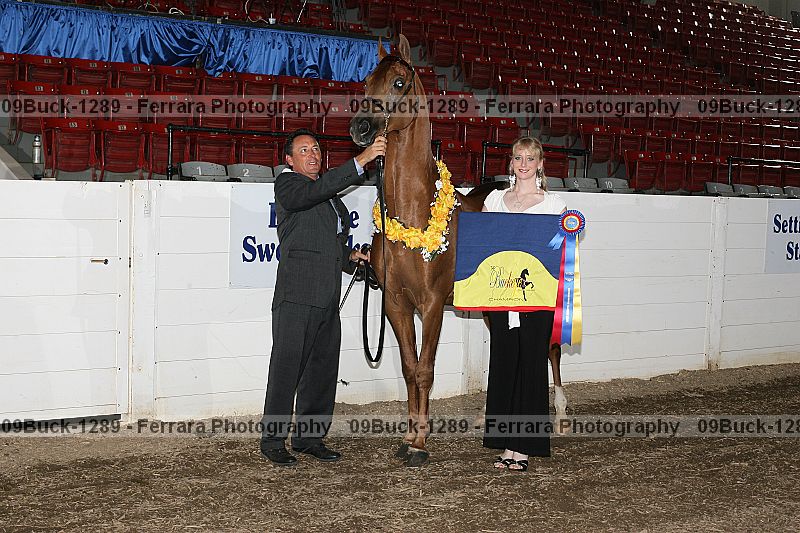 Proof 09buck-1289