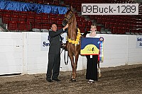 09buck-1289 proof