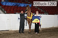 09buck-1290 proof