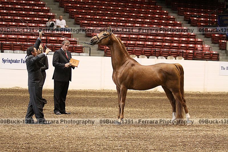 Proof 09buck-1391