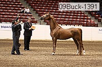 09buck-1391 proof