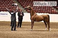 09buck-1393 proof