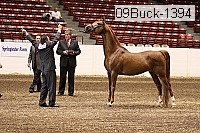 09buck-1394 proof