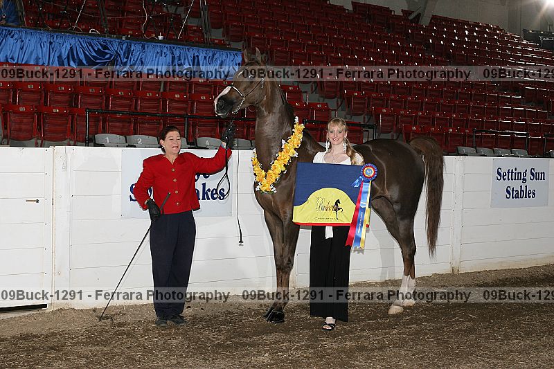 Proof 09buck-1291