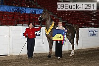 09buck-1291 proof