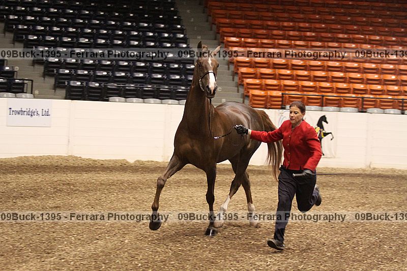 Proof 09buck-1395