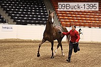 09buck-1395 proof