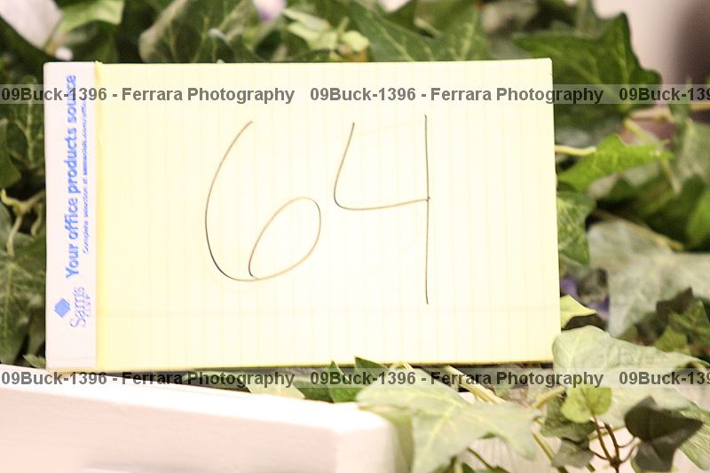 Proof 09buck-1396
